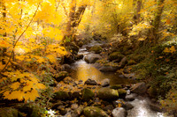 Soft Creek