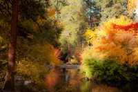 TheUpperPond