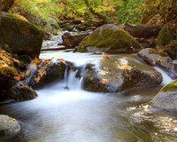 Silent Stream