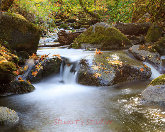 Silent Stream