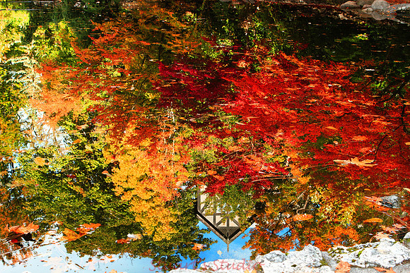 Reflections