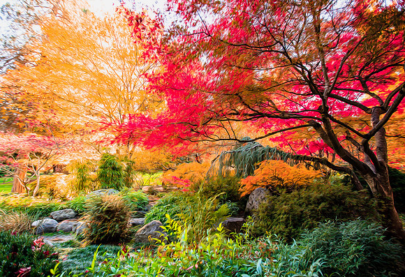 Japanese Garden