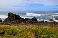 Pacific SeaScape