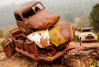 Truck Graveyard