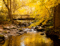 Lithia Park Bridge
