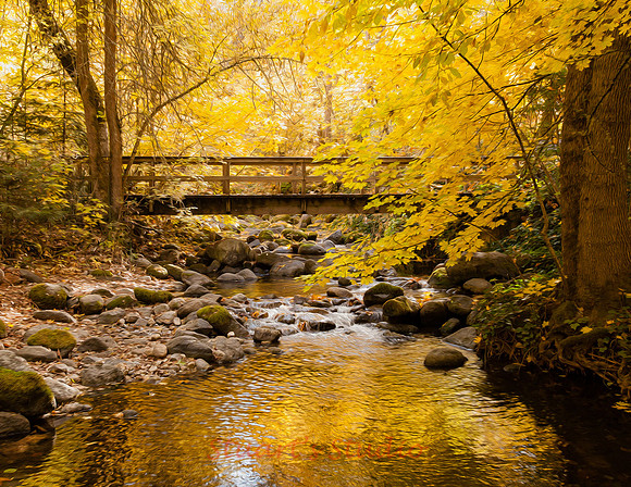 Lithia Park Bridge
