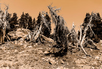 Lassen Volcanic