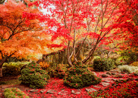Colorburst