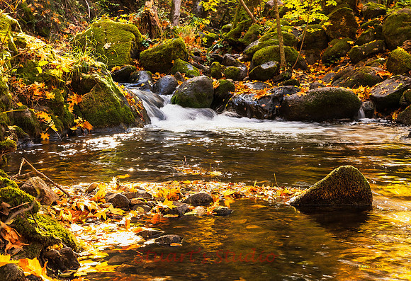 Lithia Creek Falls