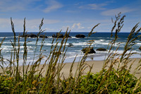 Pacificshore