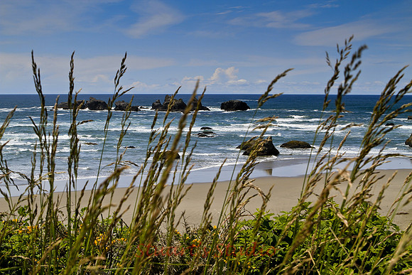 Pacificshore