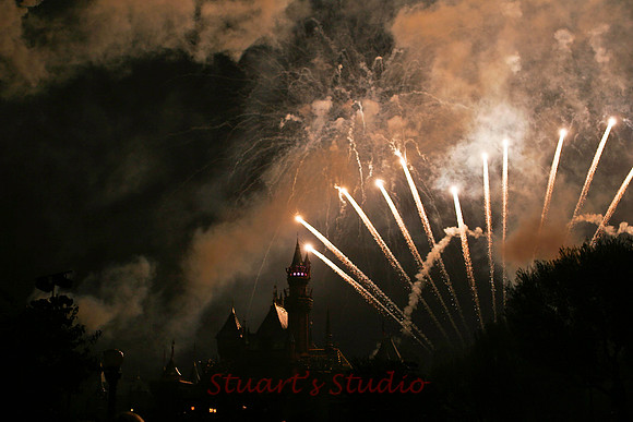Disney's50th