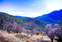 Ashland Watershed