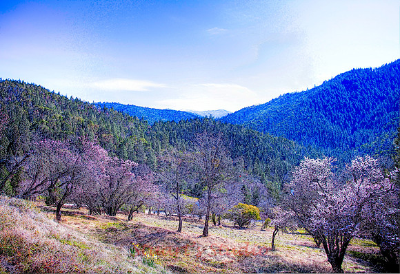 Ashland Watershed
